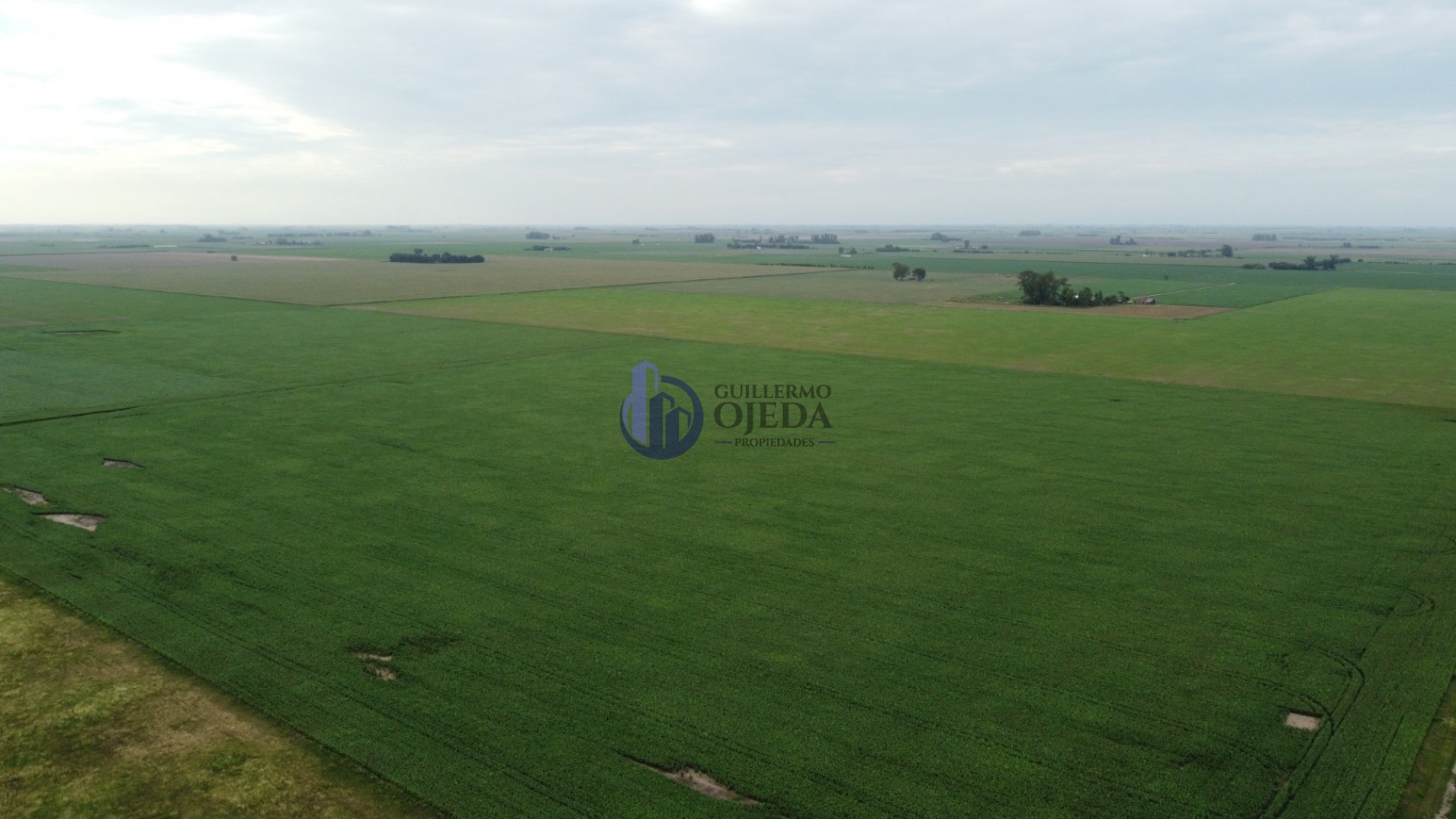 Campo Agricola 150 Hectareas San Genaro 