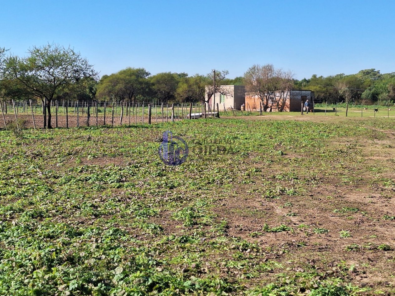 Campo de 879 hectareas en venta Santa Fe Con mejoras y viviendas