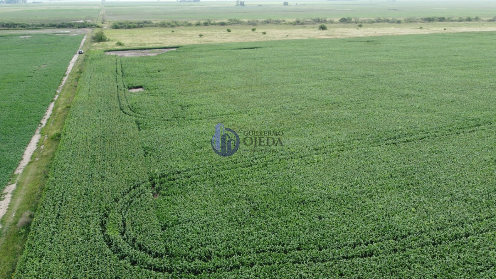 Campo Agricola 150 Hectareas San Genaro 