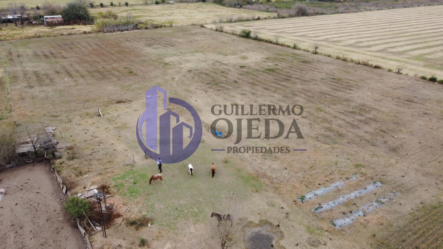 Campo de 1,5 hectareas en Serodino