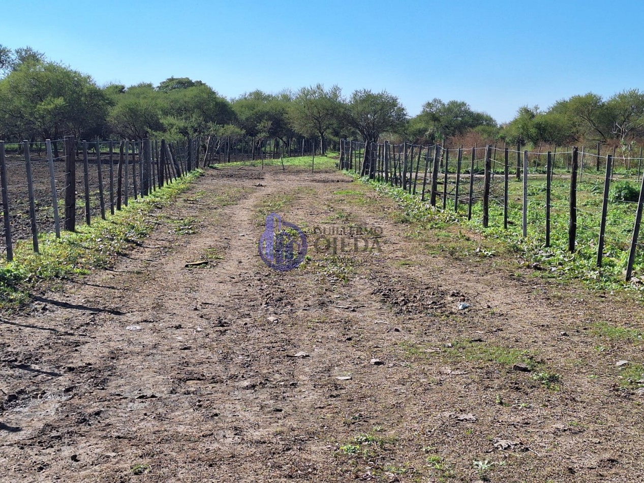 Campo de 879 hectareas en venta Santa Fe Con mejoras y viviendas