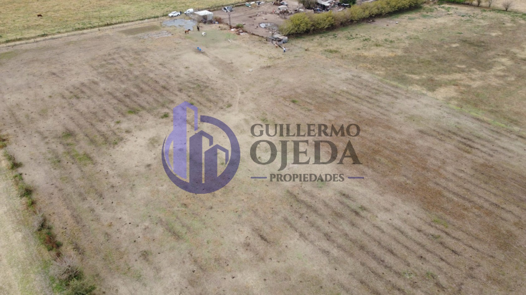 Campo de 1,5 hectareas en Serodino