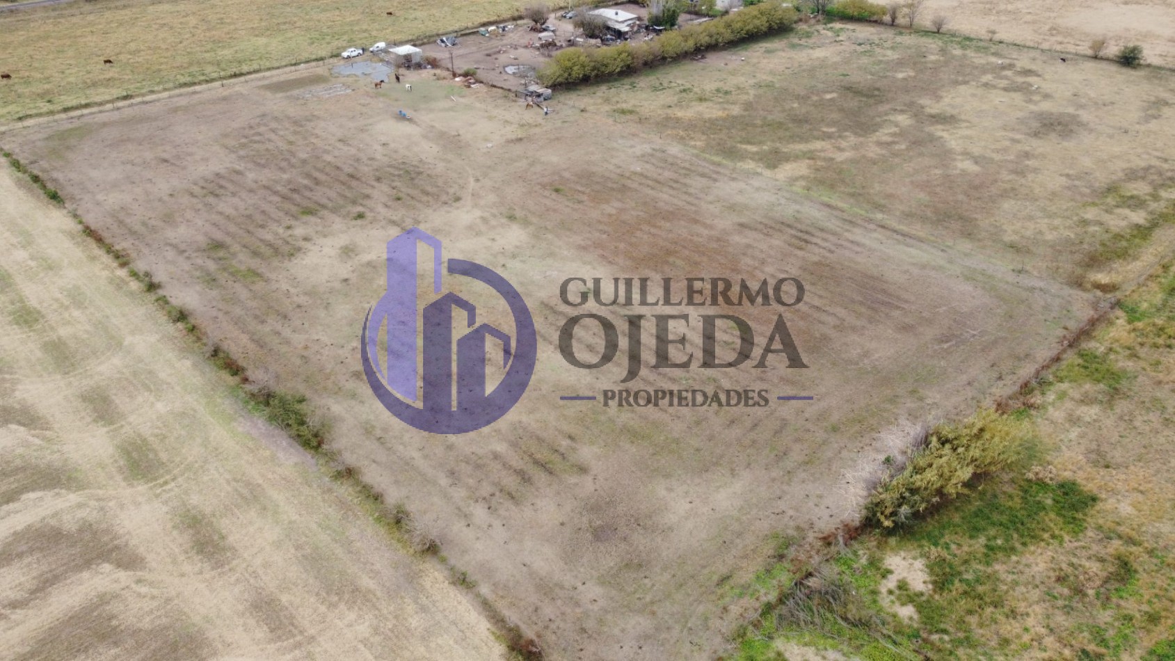 Campo de 1,5 hectareas en Serodino