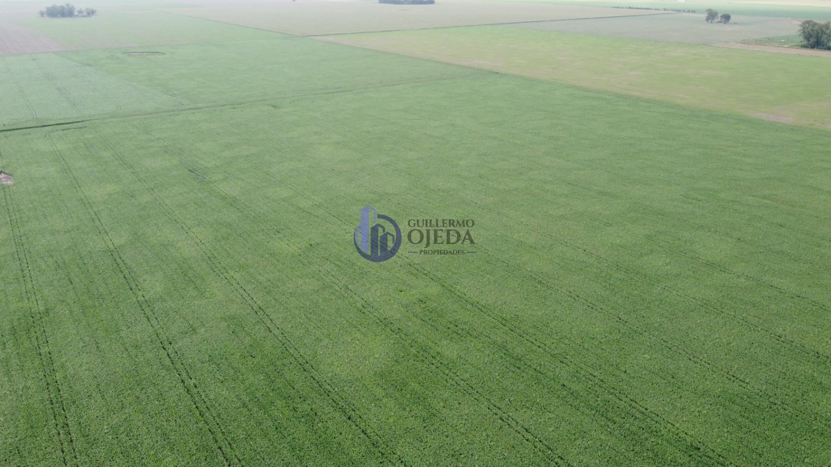 Campo Agricola 150 Hectareas San Genaro 