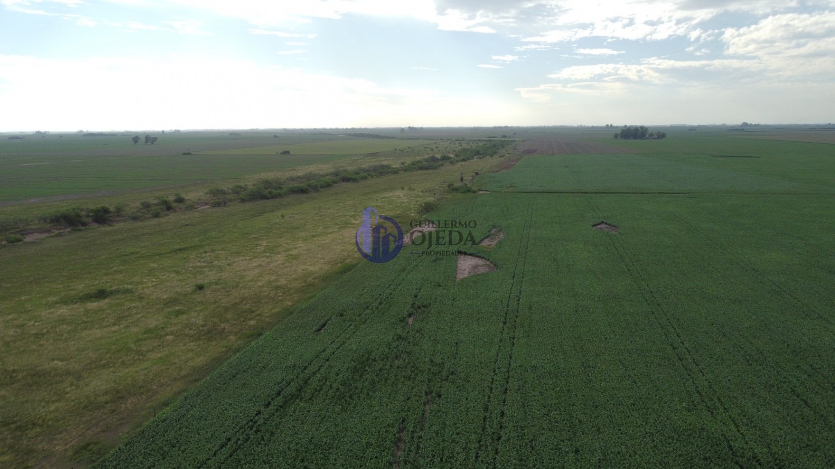 Campo Agricola 150 Hectareas San Genaro 