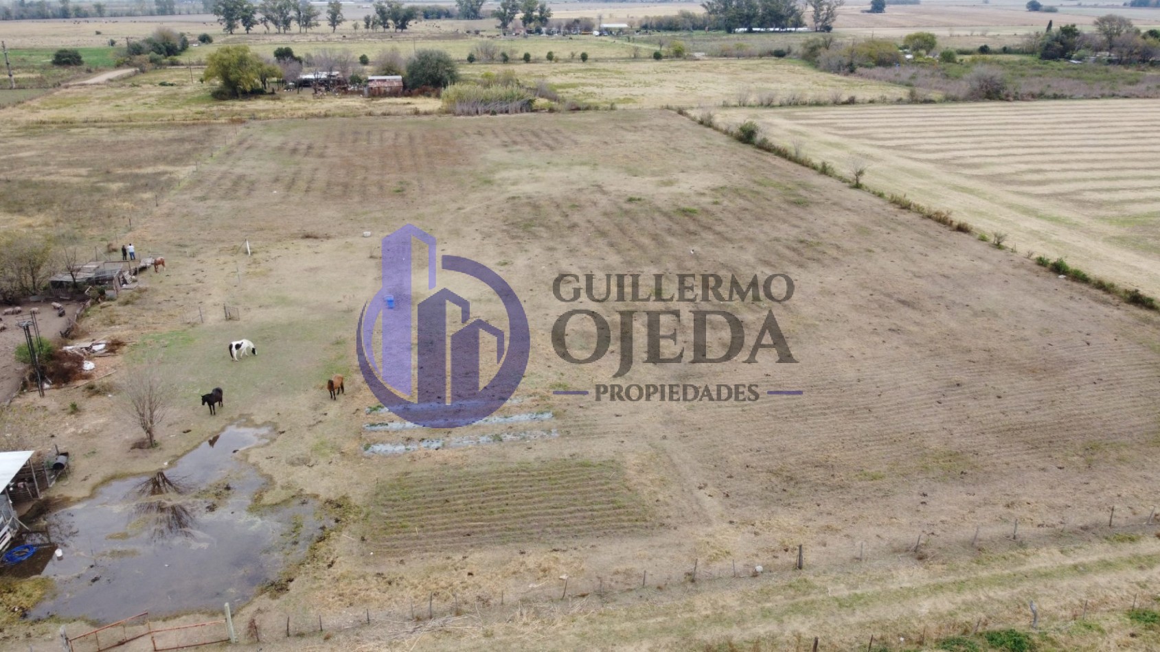 Campo de 1,5 hectareas en Serodino