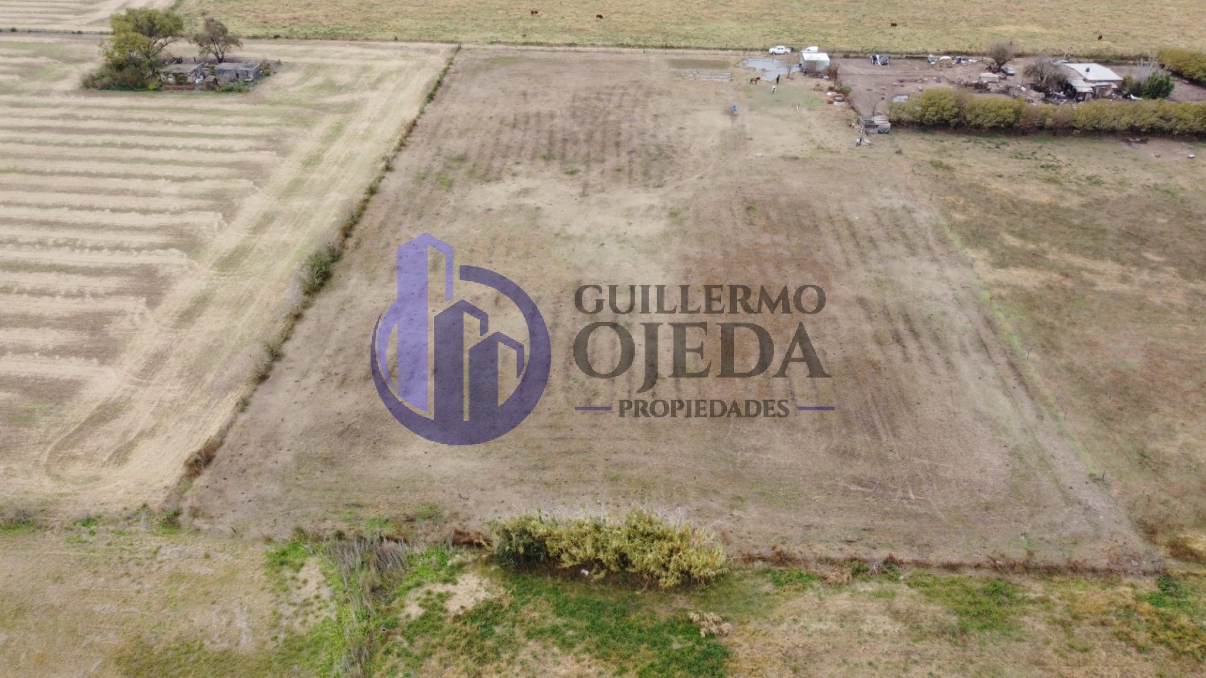 Campo de 1,5 hectareas en Serodino