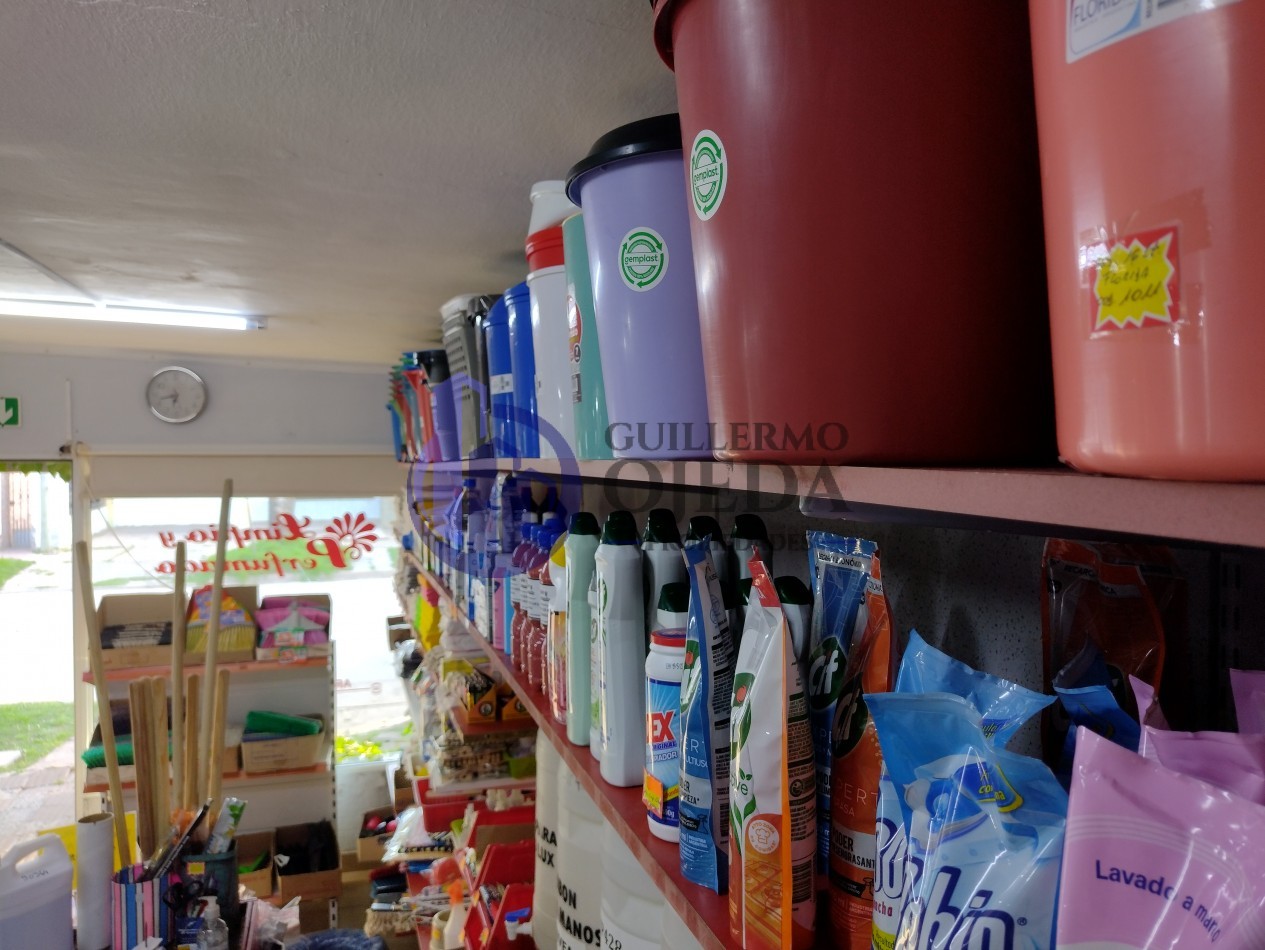 Fondo de comercio