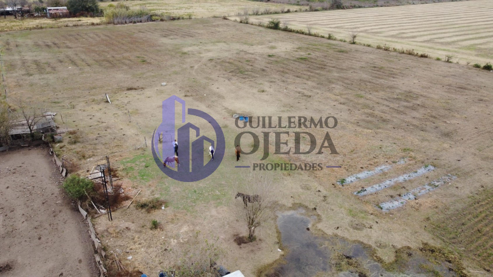 Campo de 1,5 hectareas en Serodino