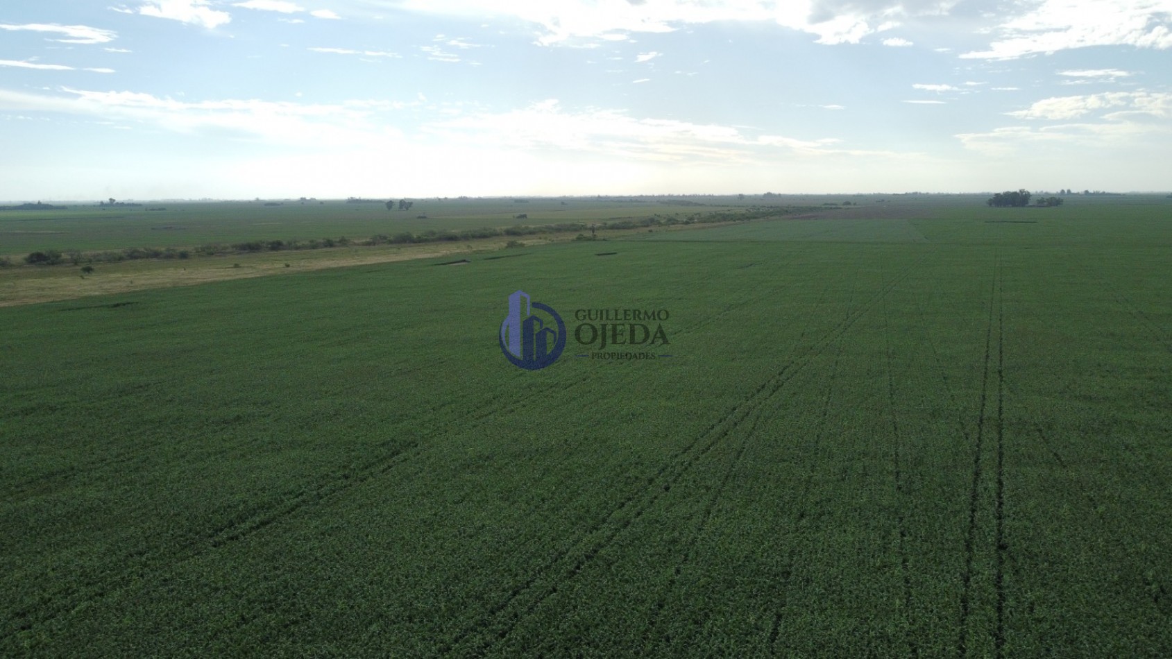 Campo Agricola 150 Hectareas San Genaro 