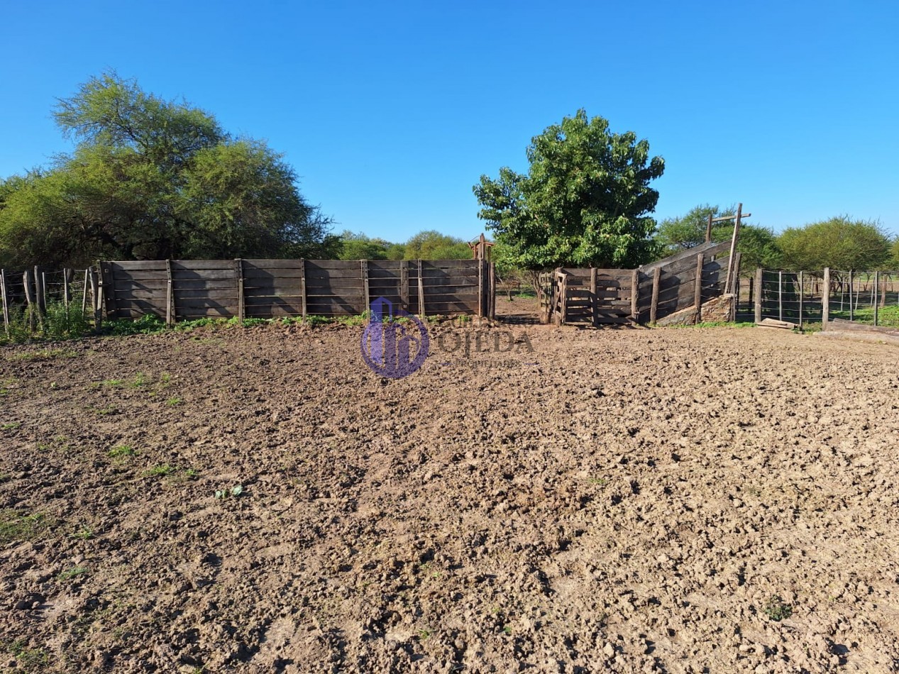 Campo de 879 hectareas en venta Santa Fe Con mejoras y viviendas