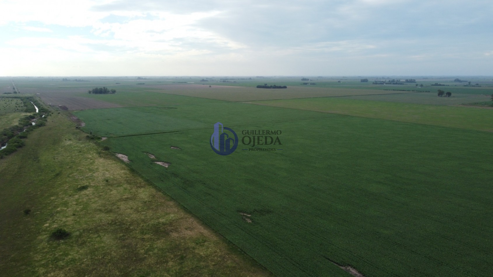Campo Agricola 150 Hectareas San Genaro 