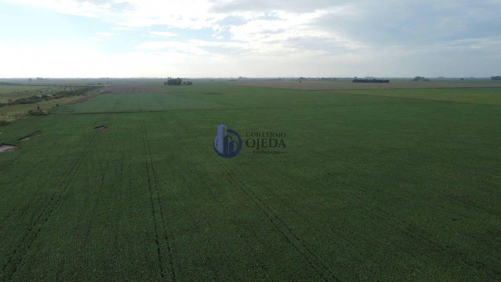 Campo Agricola 150 Hectareas San Genaro 