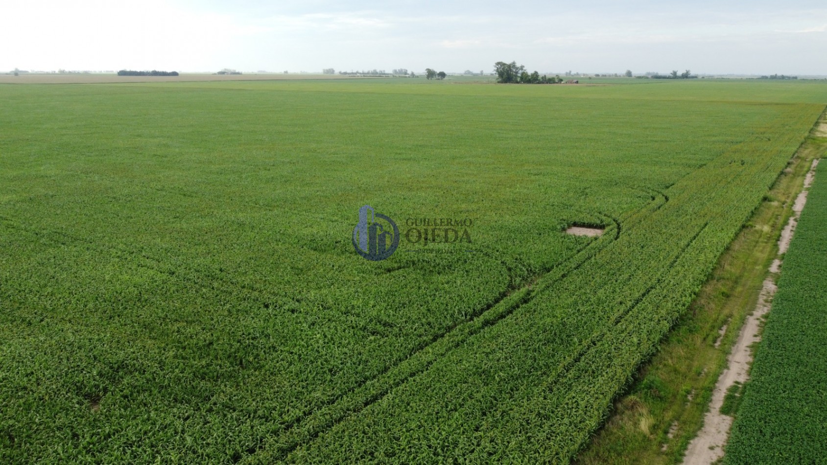 Campo Agricola 150 Hectareas San Genaro 