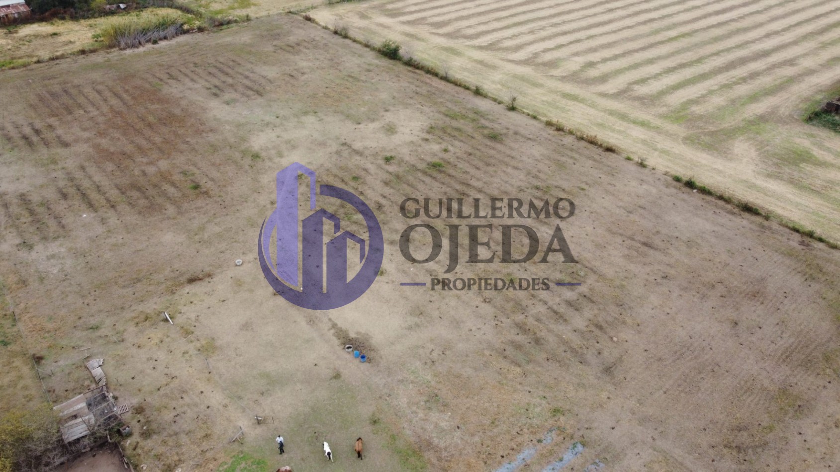 Campo de 1,5 hectareas en Serodino
