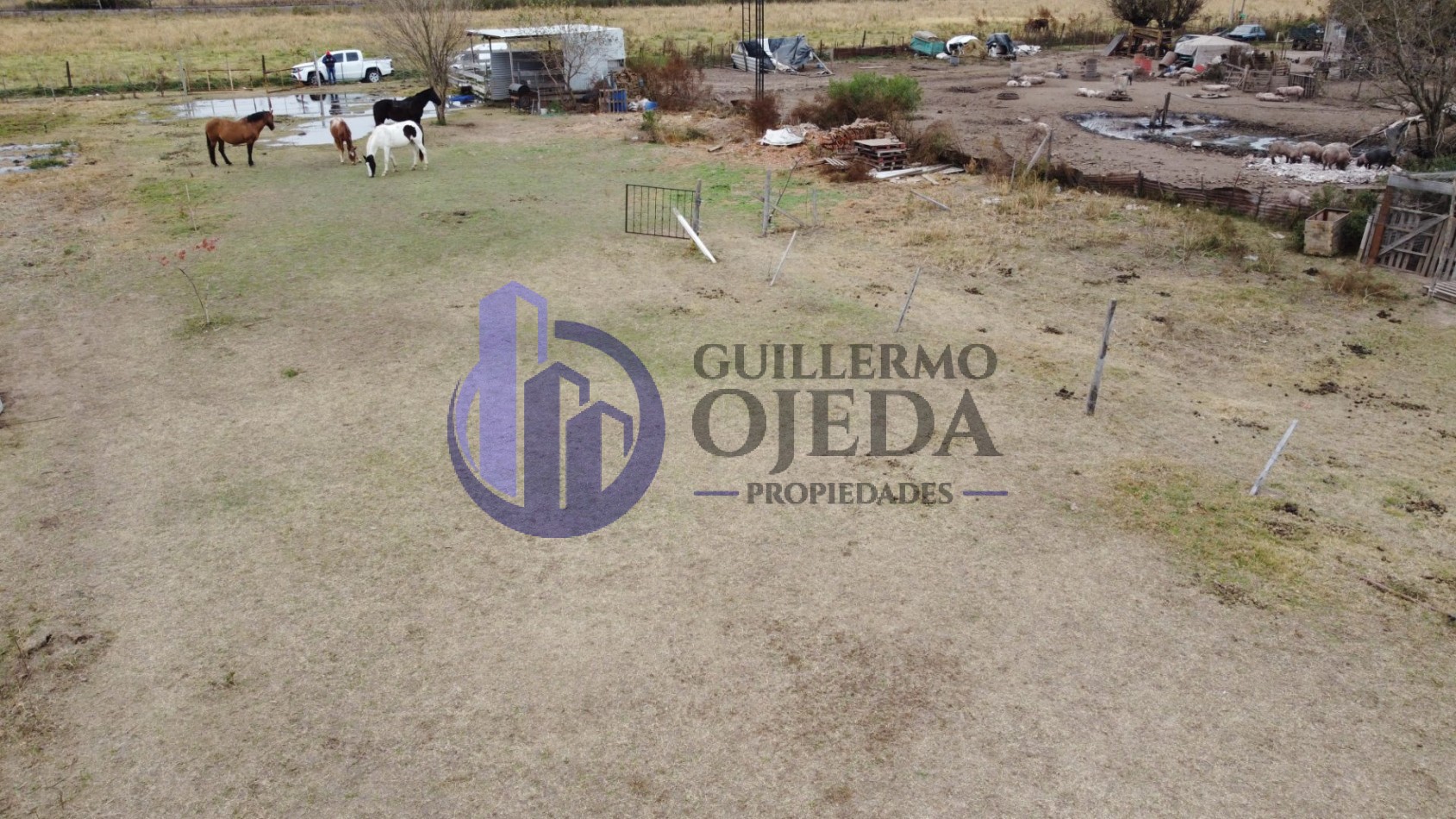 Campo de 1,5 hectareas en Serodino