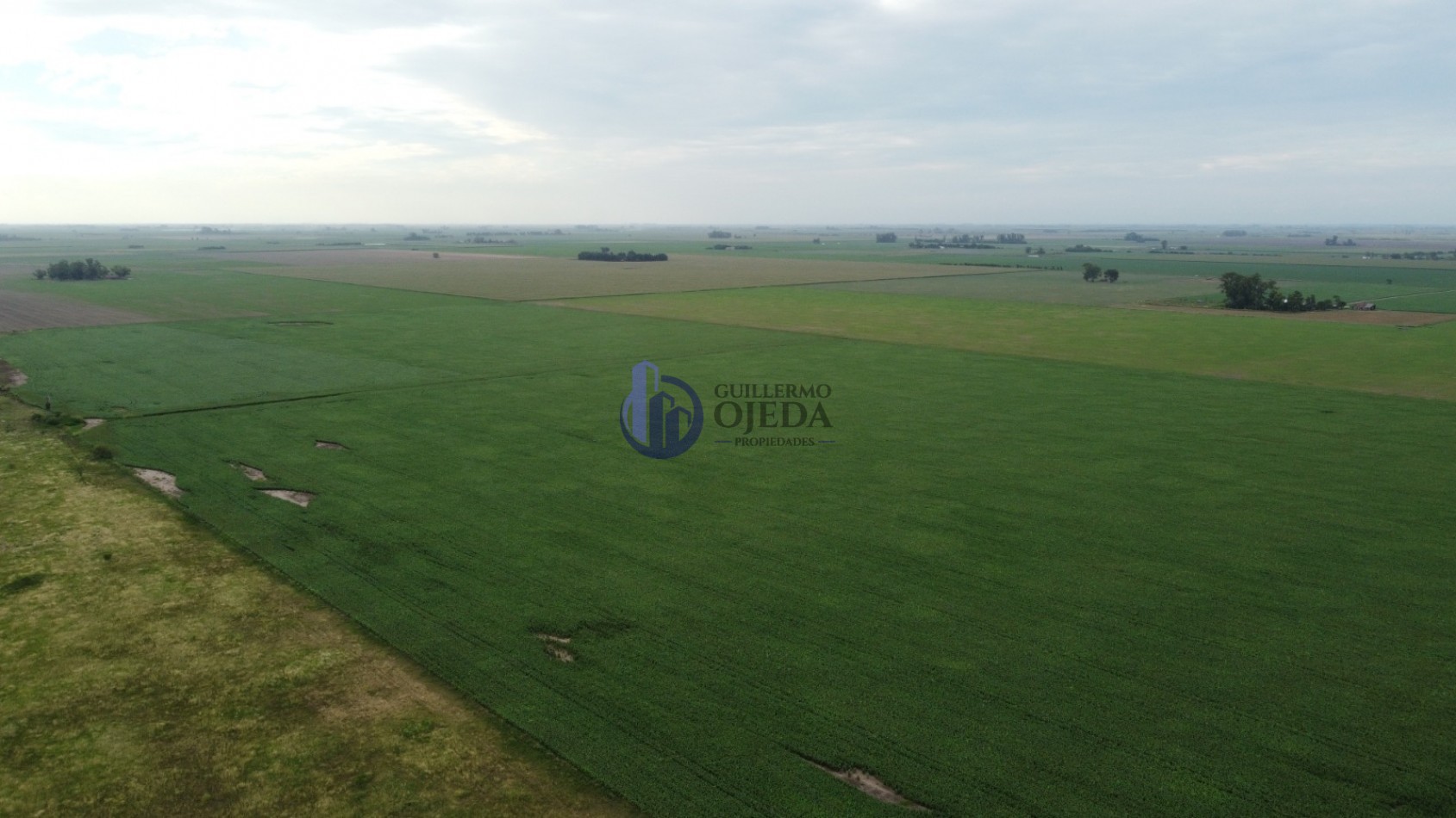 Campo Agricola 150 Hectareas San Genaro 