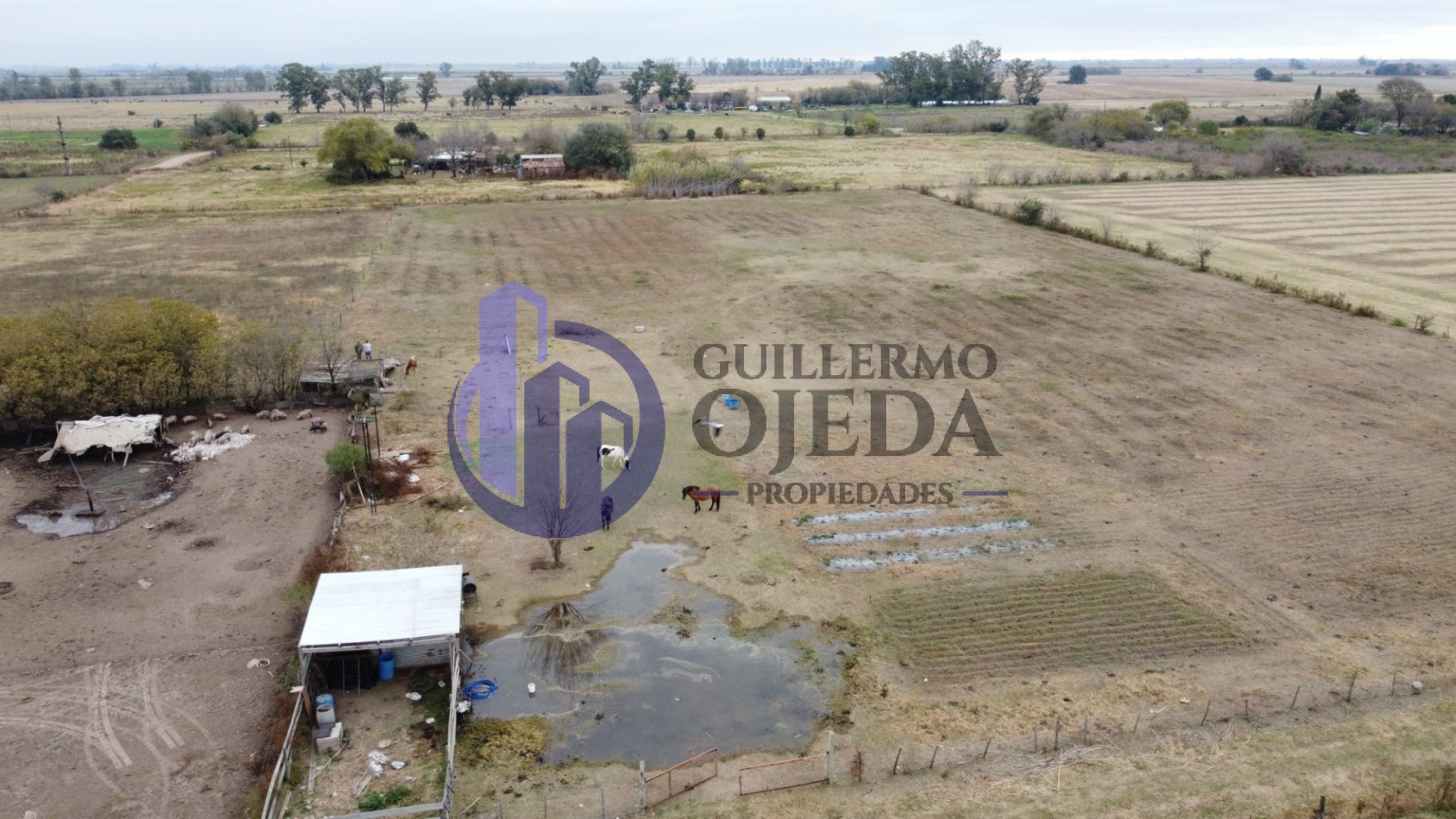 Campo de 1,5 hectareas en Serodino