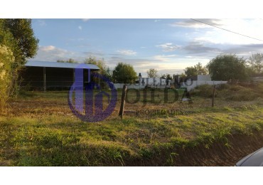 Terreno en venta San Genaro Zona ESTE