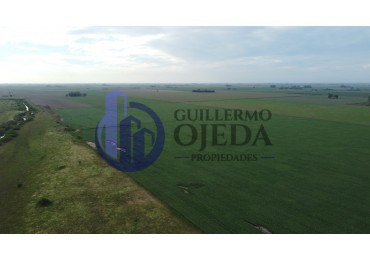 Campo Agricola 150 Hectareas San Genaro 