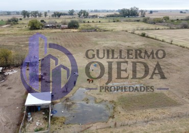 Campo de 1,5 hectareas en Serodino